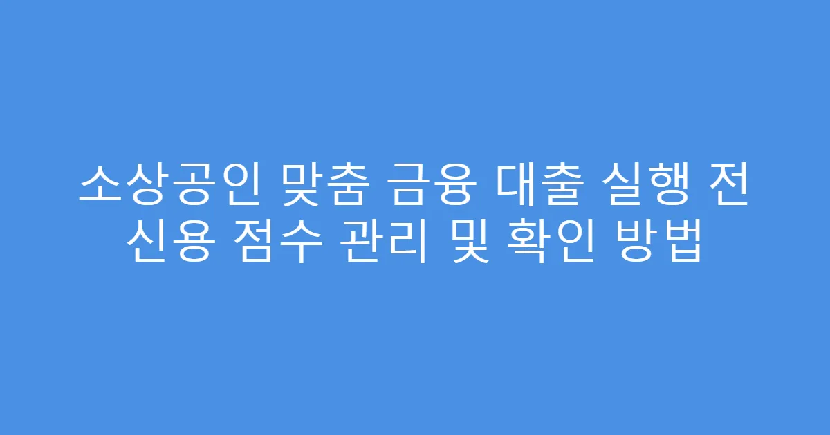 소상공인 맞춤 금융 대출 실행 전 신용 점수 관리 및 확인 방법