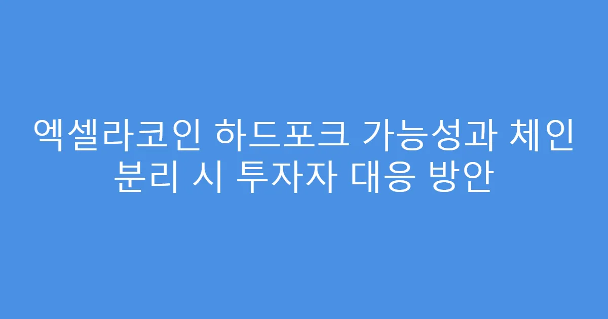 엑셀라코인 하드포크 가능성과 체인 분리 시 투자자 대응 방안