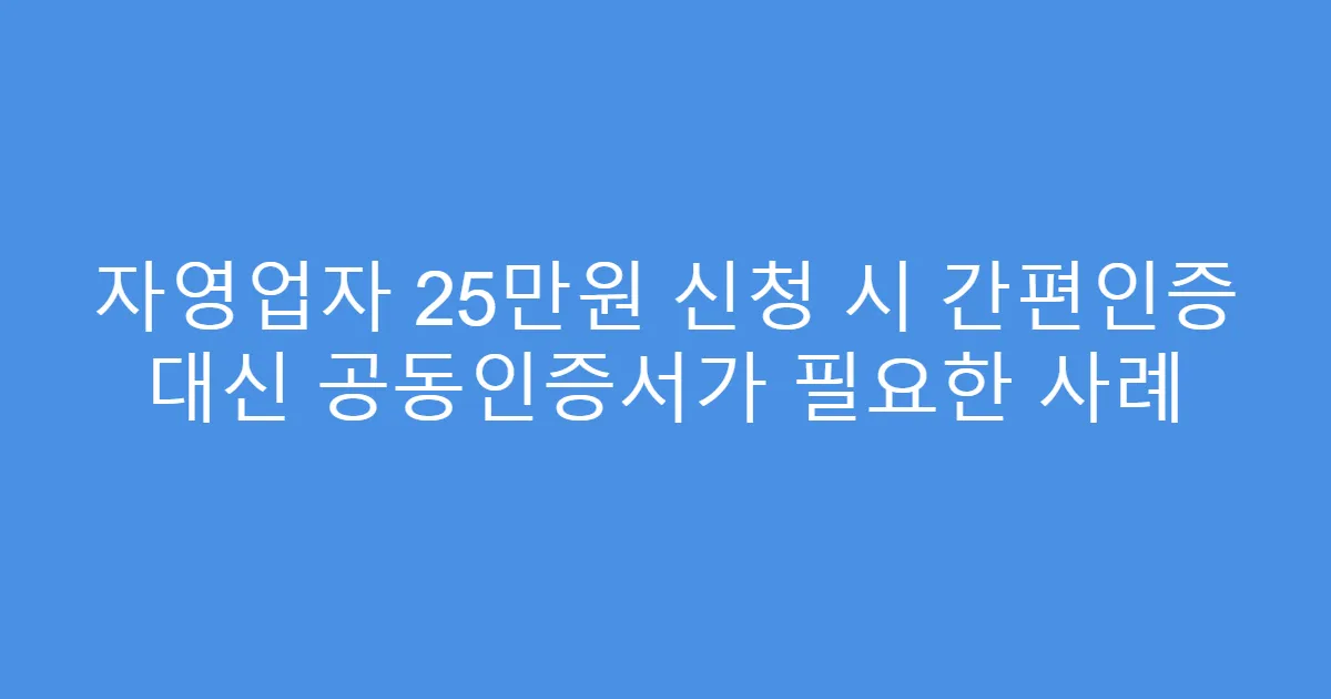 자영업자 25만원 신청 시 간편인증 대신 공동인증서가 필요한 사례