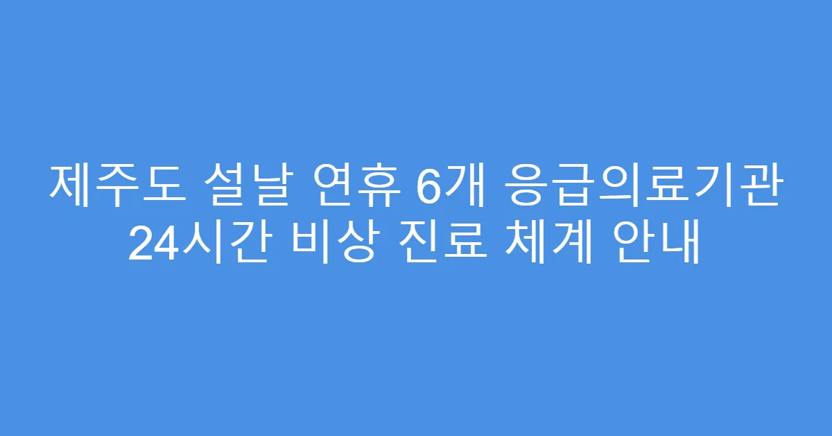 제주도 설날 연휴 6개 응급의료기관 24시간 비상 진료 체계 안내