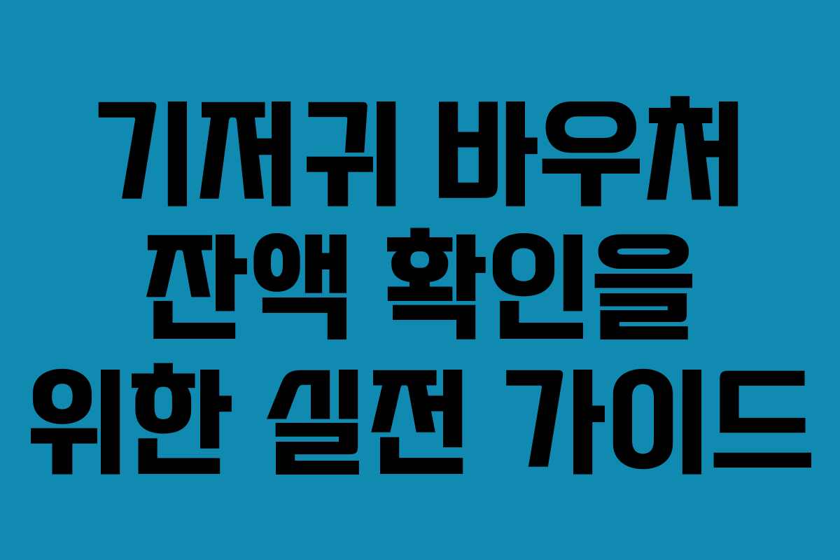 기저귀 바우처 잔액 확인을 위한 실전 가이드