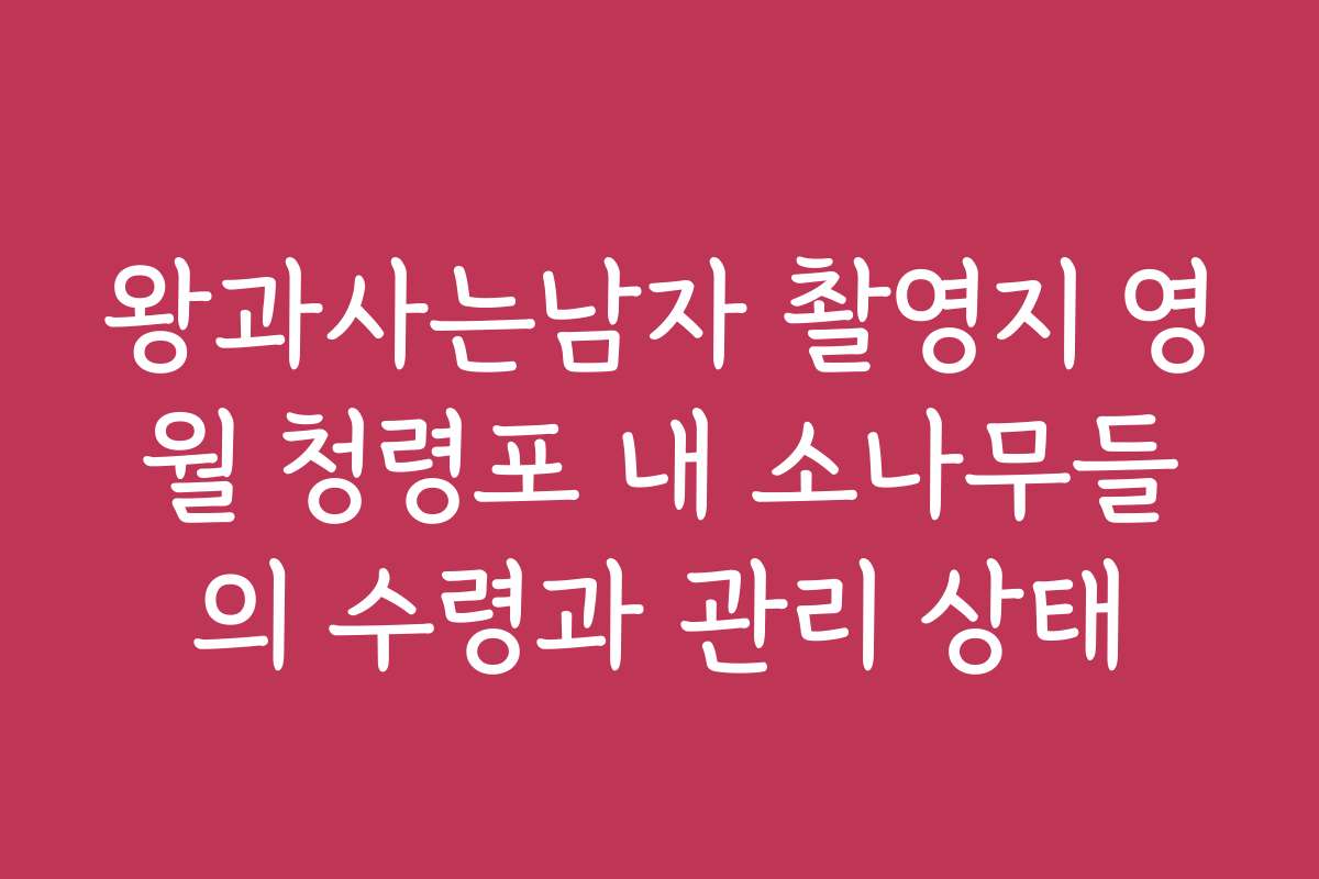 왕과사는남자 촬영지 영월 청령포 내 소나무들의 수령과 관리 상태