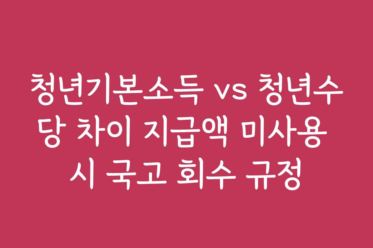 청년기본소득 vs 청년수당 차이 지급액 미사용 시 국고 회수 규정