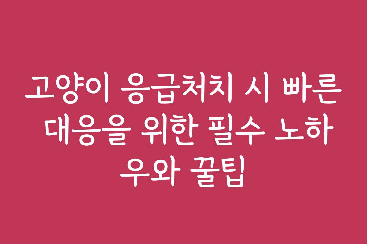 고양이 응급처치 시 빠른 대응을 위한 필수 노하우와 꿀팁