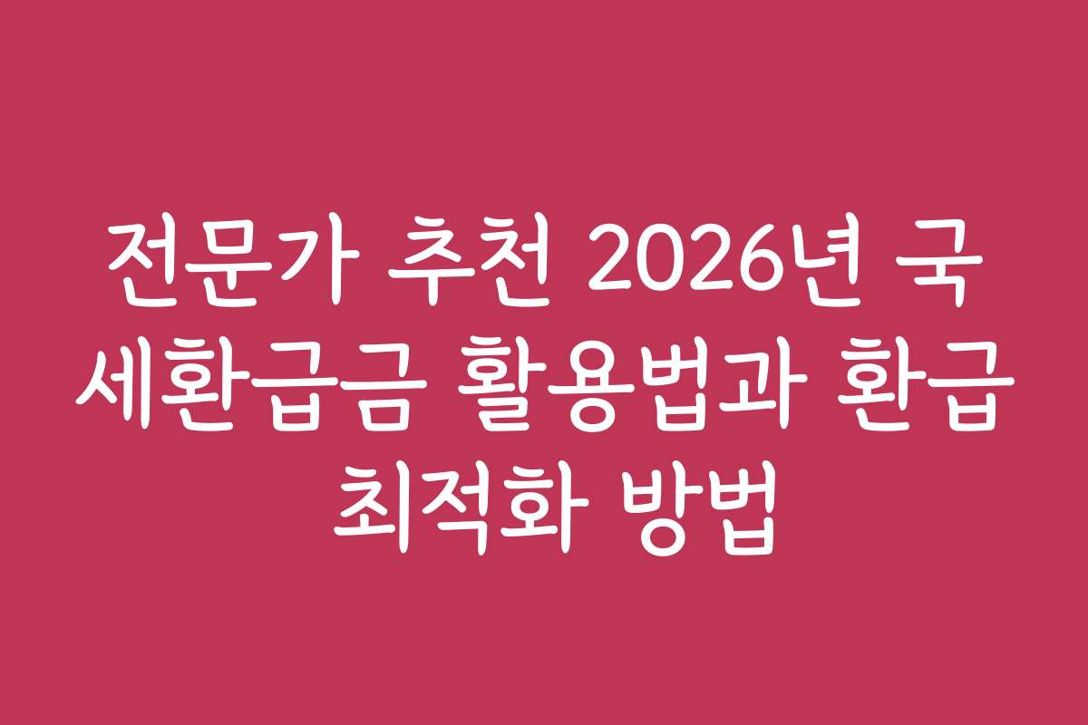 전문가 추천 2026년 국세환급금 활용법과 환급 최적화 방법