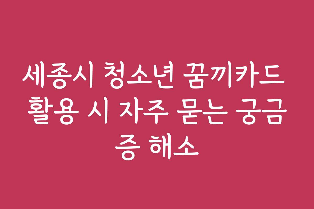 세종시 청소년 꿈끼카드 활용 시 자주 묻는 궁금증 해소