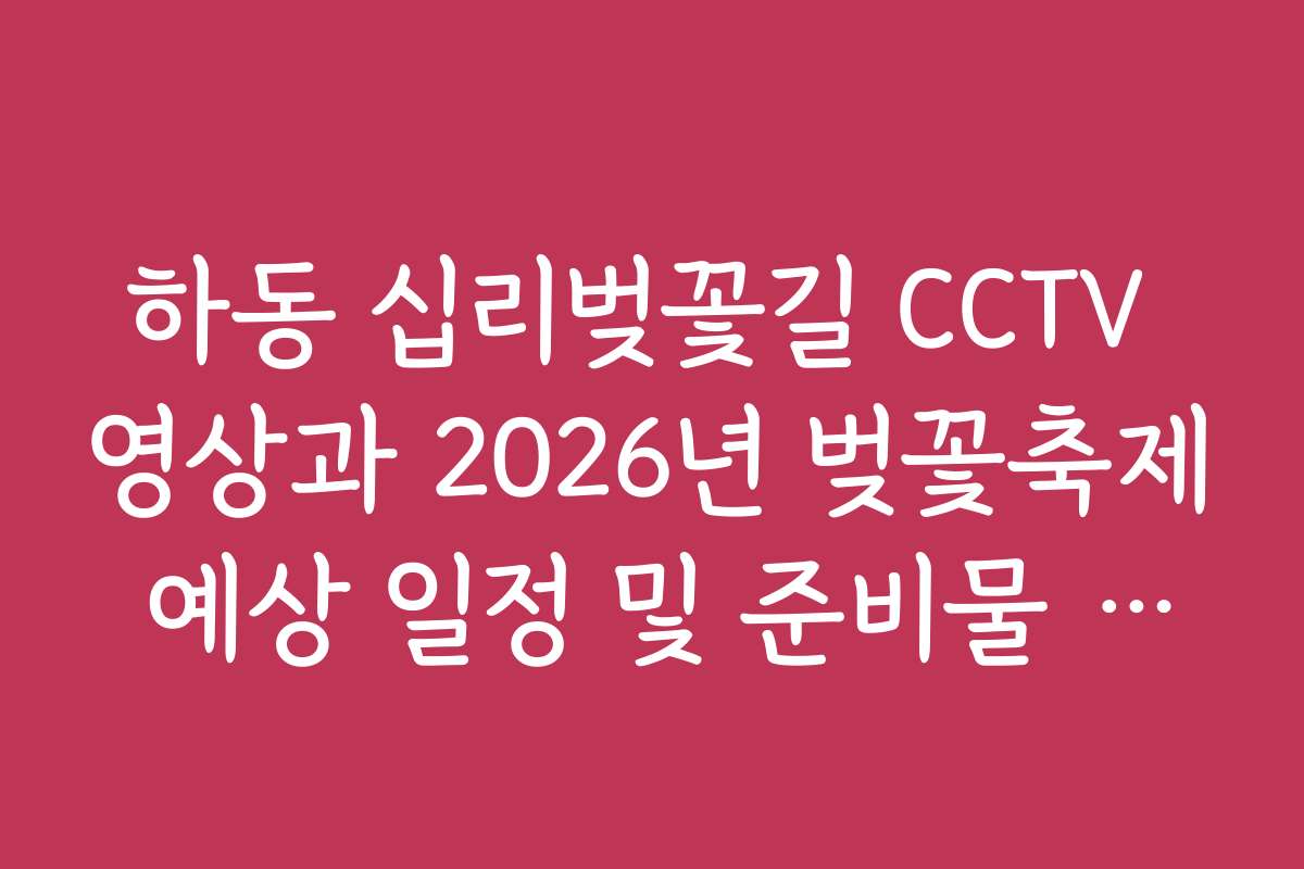 하동 십리벚꽃길 CCTV 영상과 2026년 벚꽃축제 예상 일정 및 준비물 안내