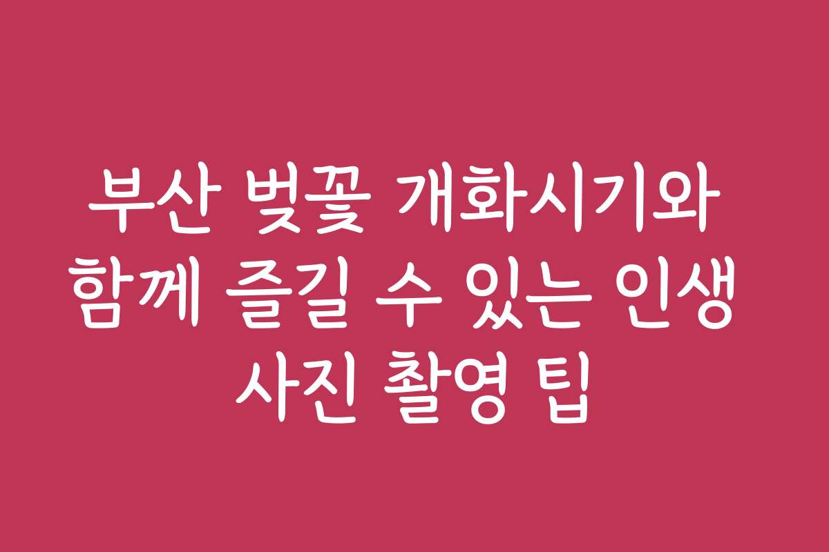 부산 벚꽃 개화시기와 함께 즐길 수 있는 인생 사진 촬영 팁
