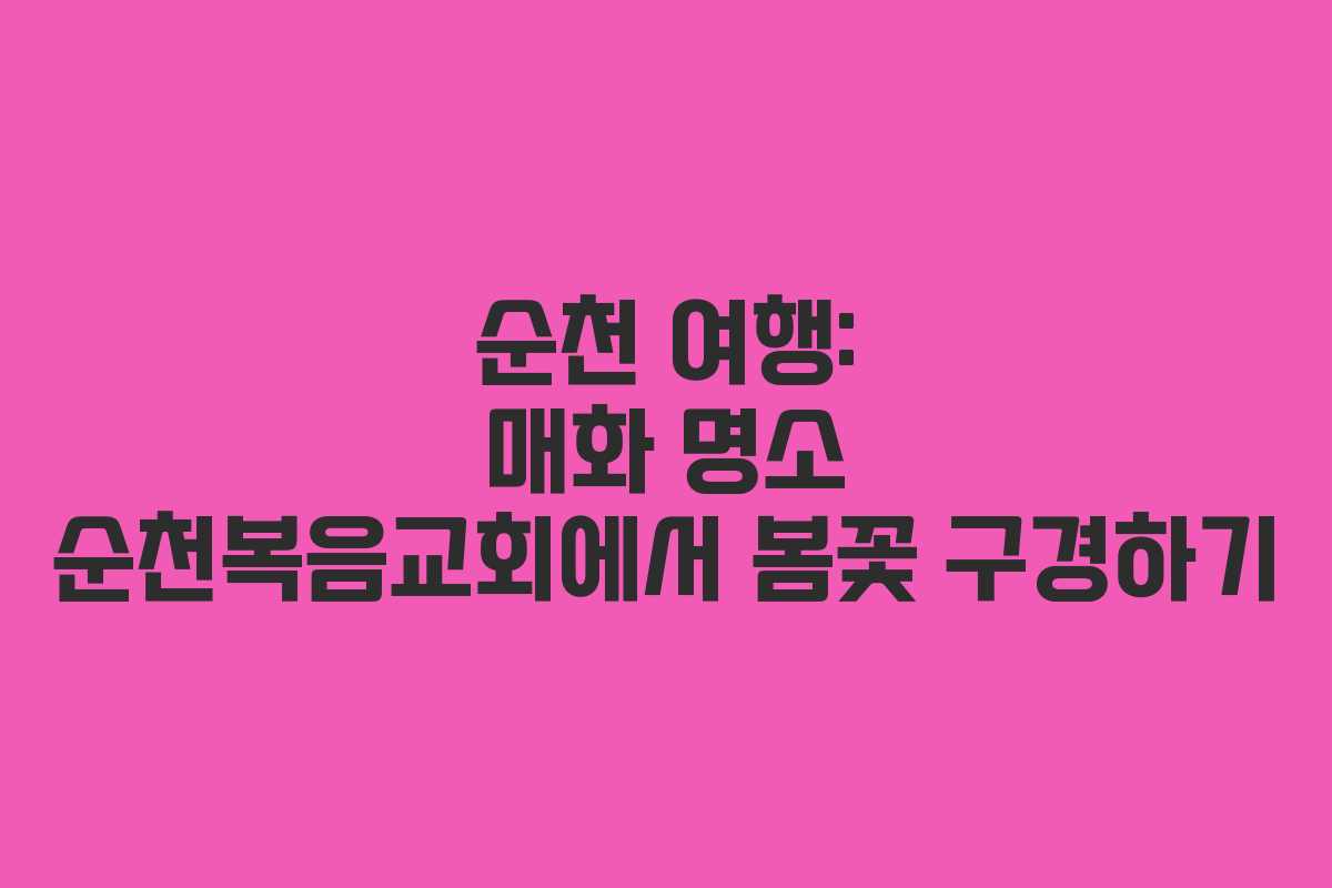 순천 여행: 매화 명소 순천복음교회에서 봄꽃 구경하기