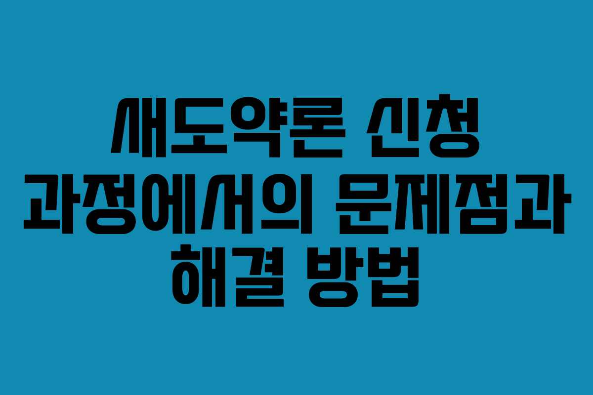 새도약론 신청 과정에서의 문제점과 해결 방법