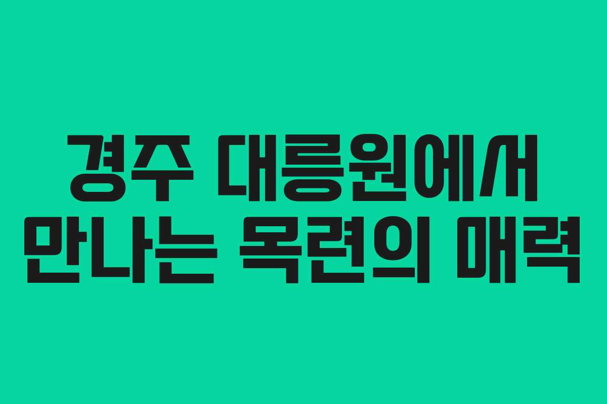 경주 대릉원에서 만나는 목련의 매력