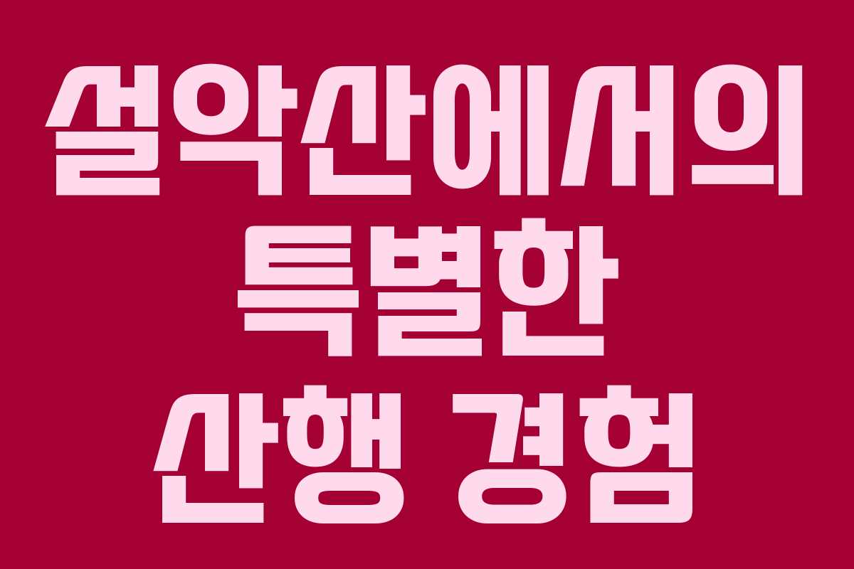 설악산에서의 특별한 산행 경험