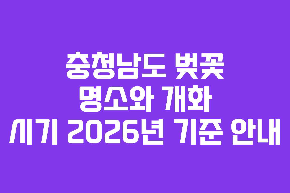 충청남도 벚꽃 명소와 개화 시기 2026년 기준 안내