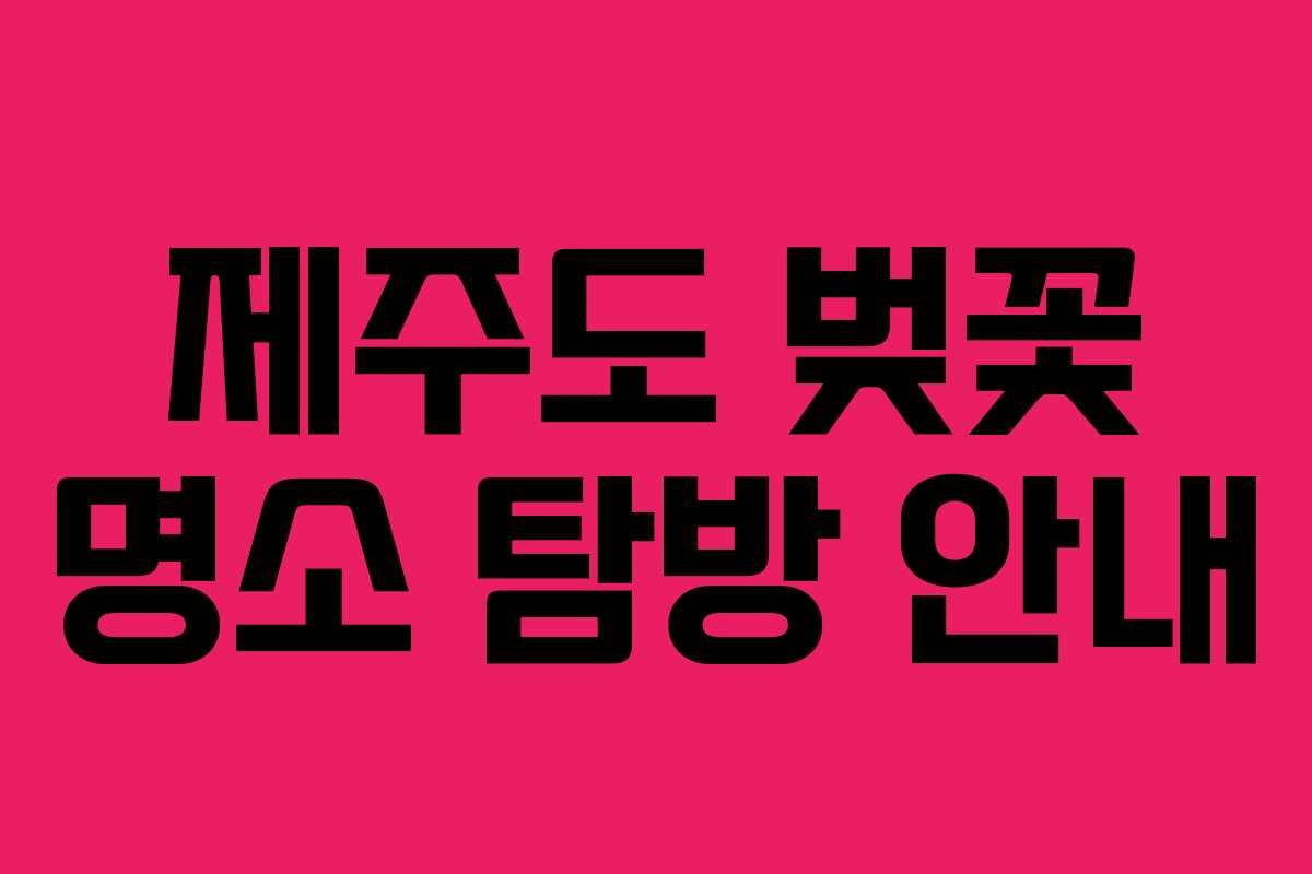 제주도 벚꽃 명소 탐방 안내