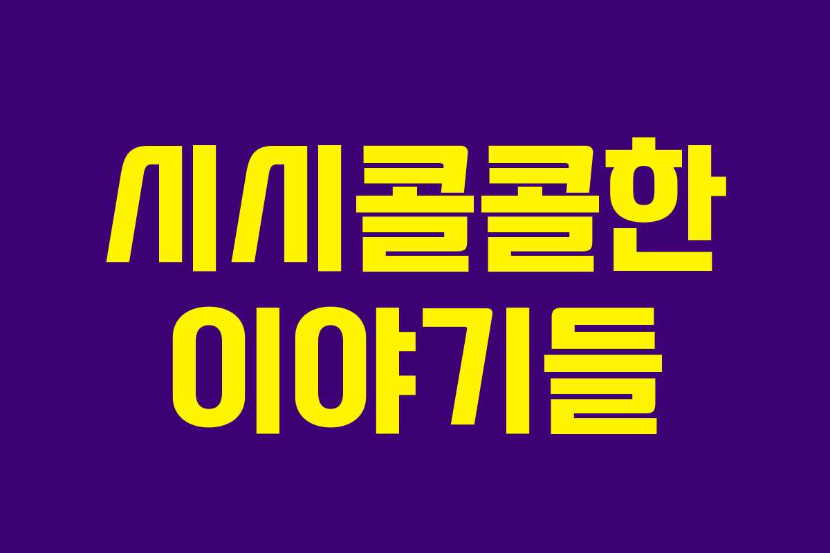 시시콜콜한 이야기들