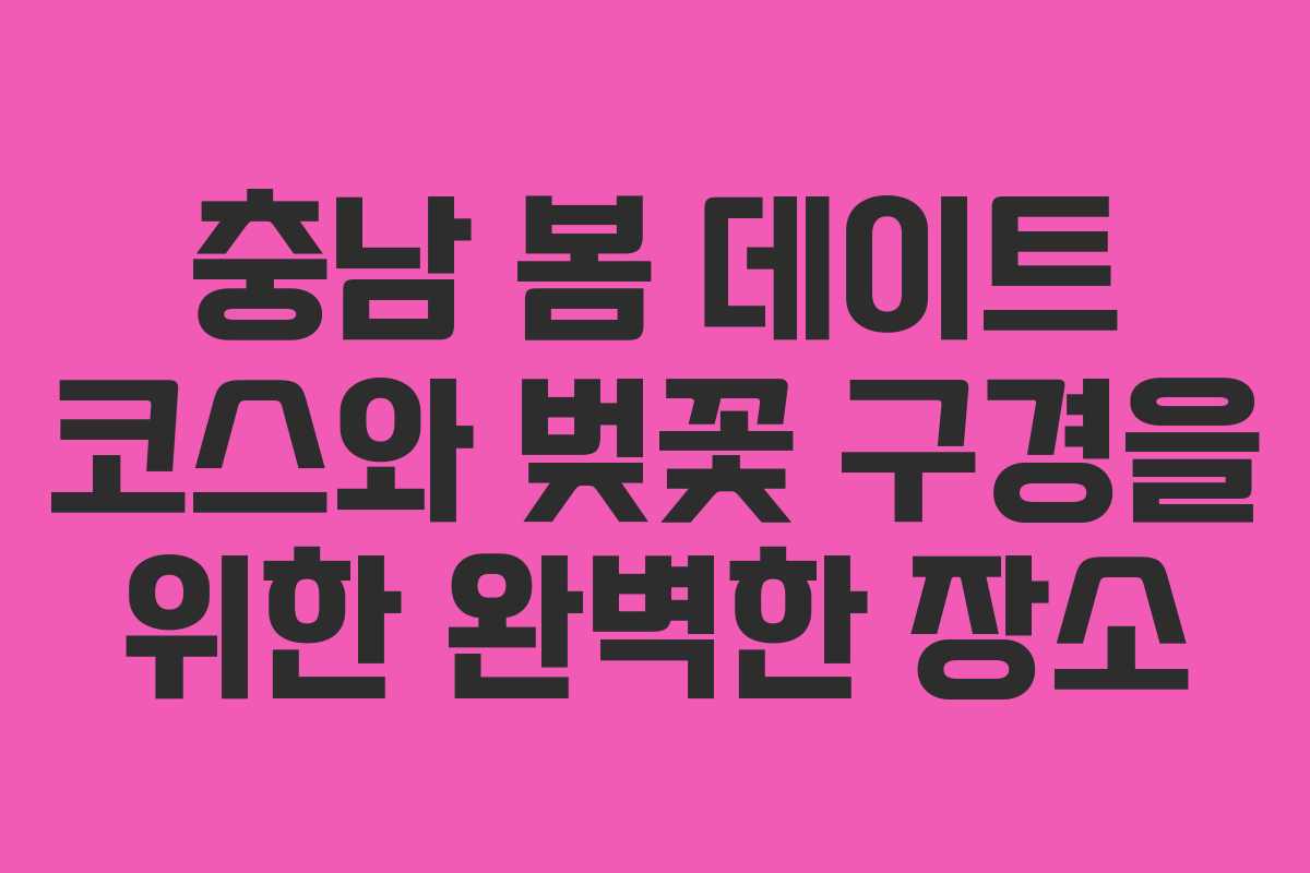 충남 봄 데이트 코스와 벚꽃 구경을 위한 완벽한 장소
