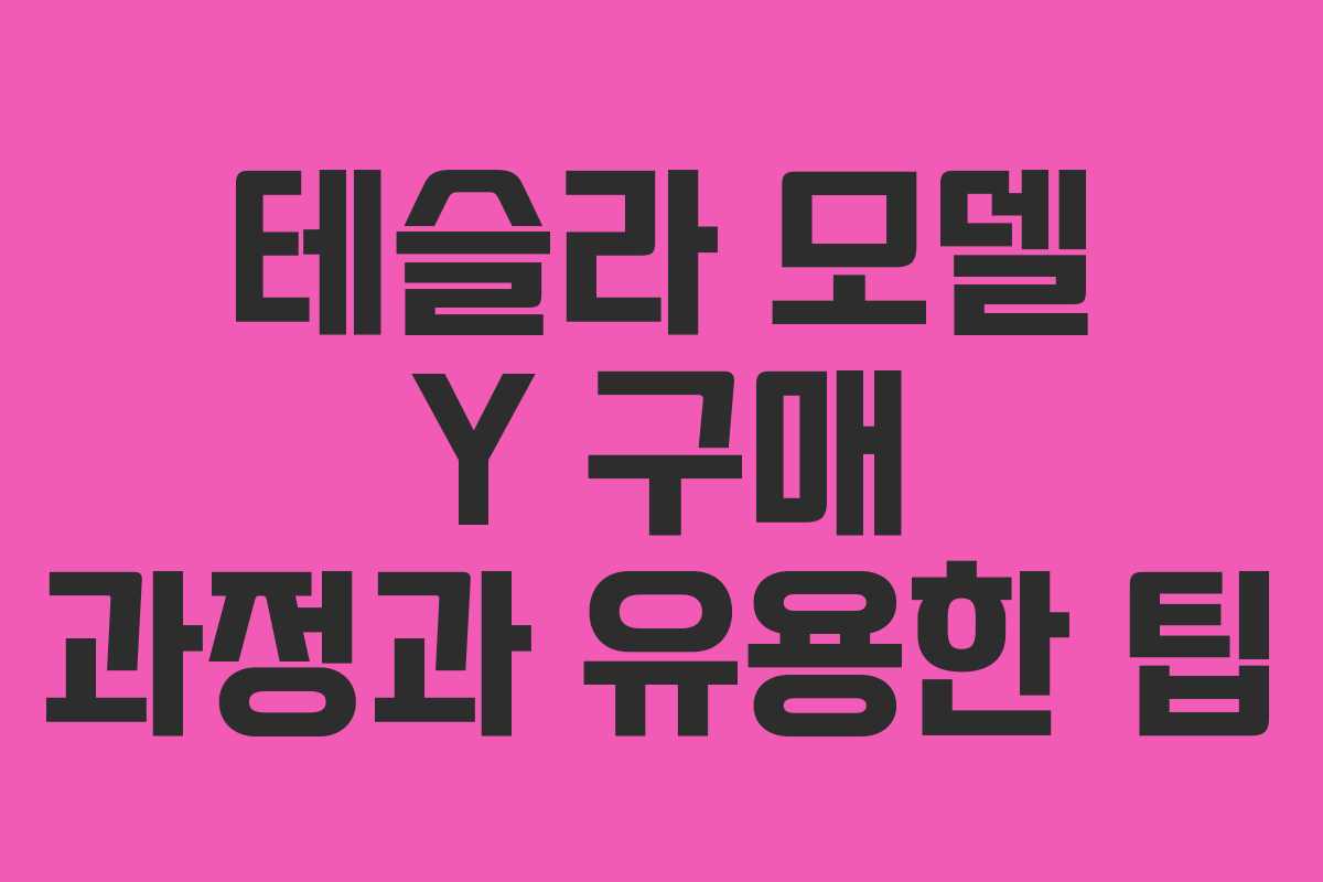 테슬라 모델 Y 구매 과정과 유용한 팁