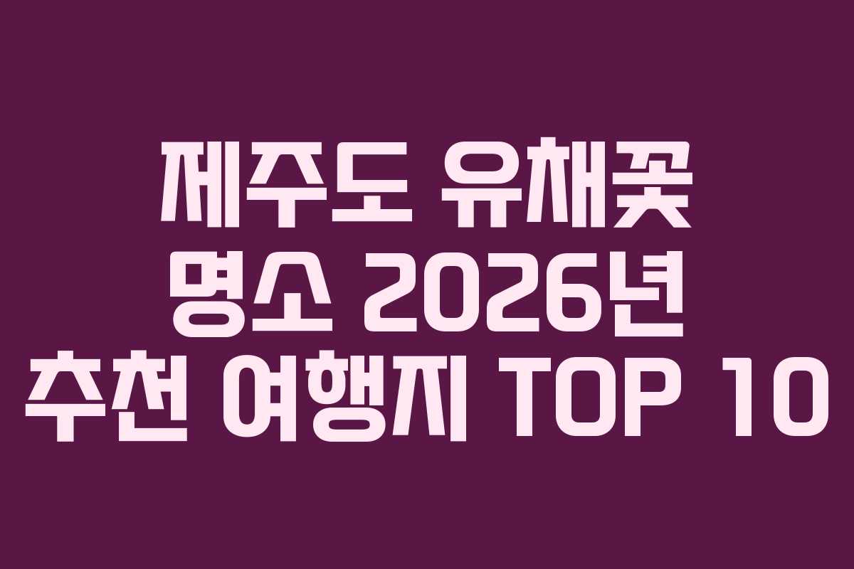 제주도 유채꽃 명소 2026년 추천 여행지 TOP 10