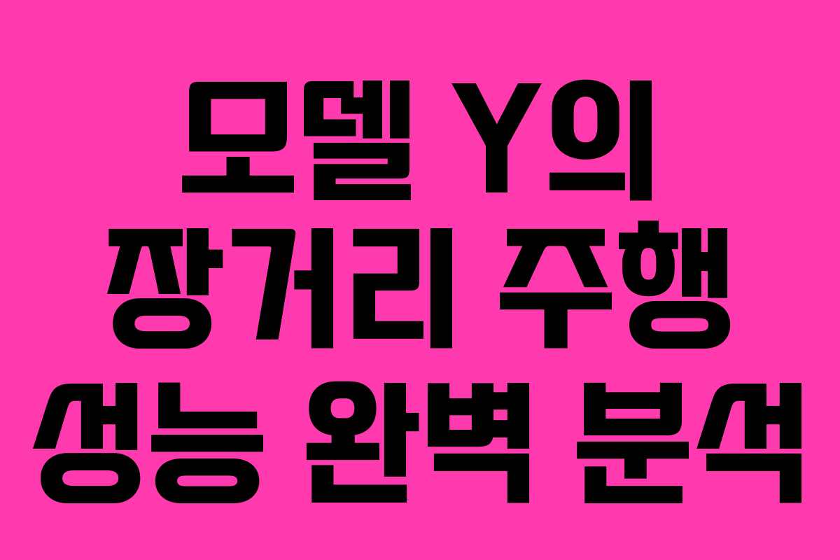 모델 Y의 장거리 주행 성능 완벽 분석