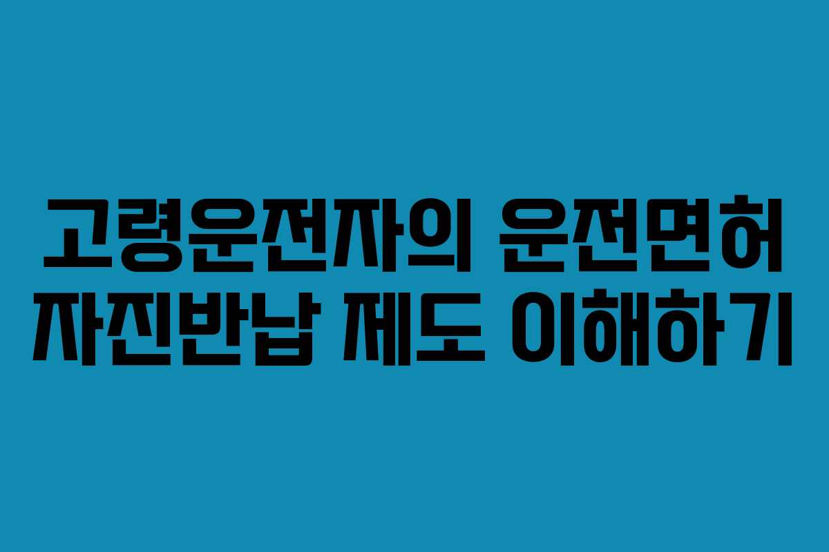 고령운전자의 운전면허 자진반납 제도 이해하기