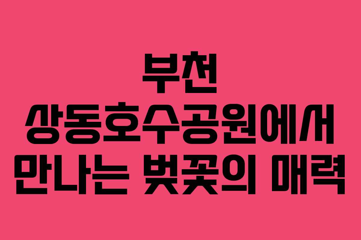 부천 상동호수공원에서 만나는 벚꽃의 매력