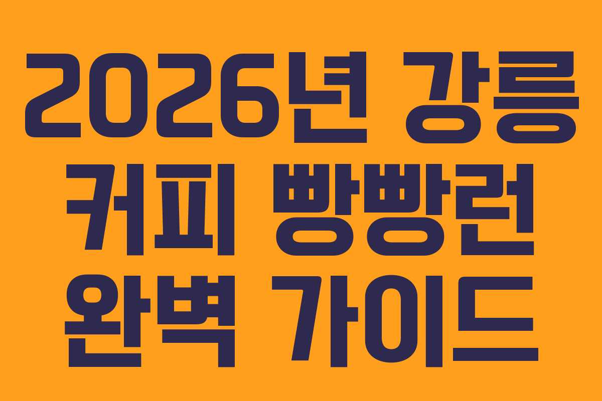 2026년 강릉 커피 빵빵런 완벽 가이드