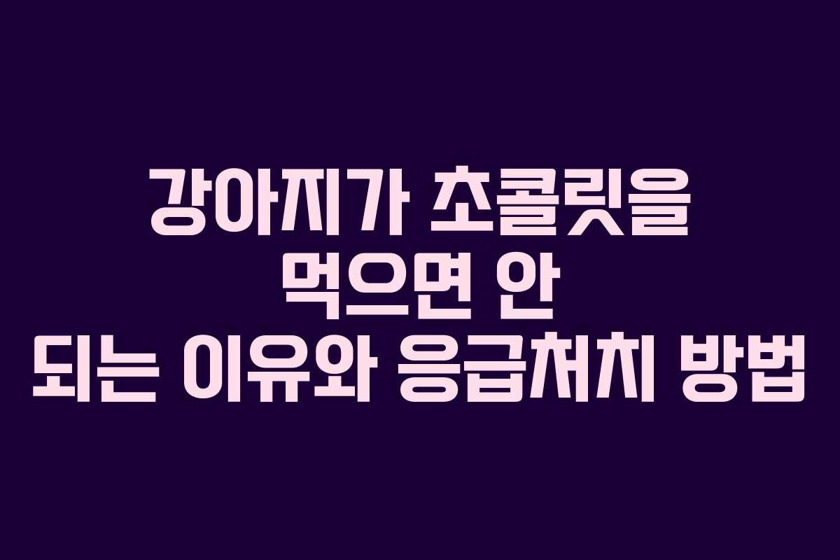 강아지가 초콜릿을 먹으면 안 되는 이유와 응급처치 방법
