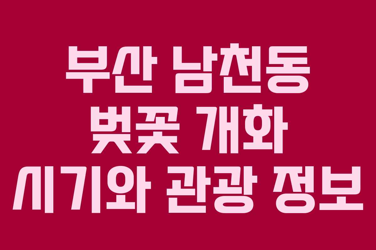 부산 남천동 벚꽃 개화 시기와 관광 정보