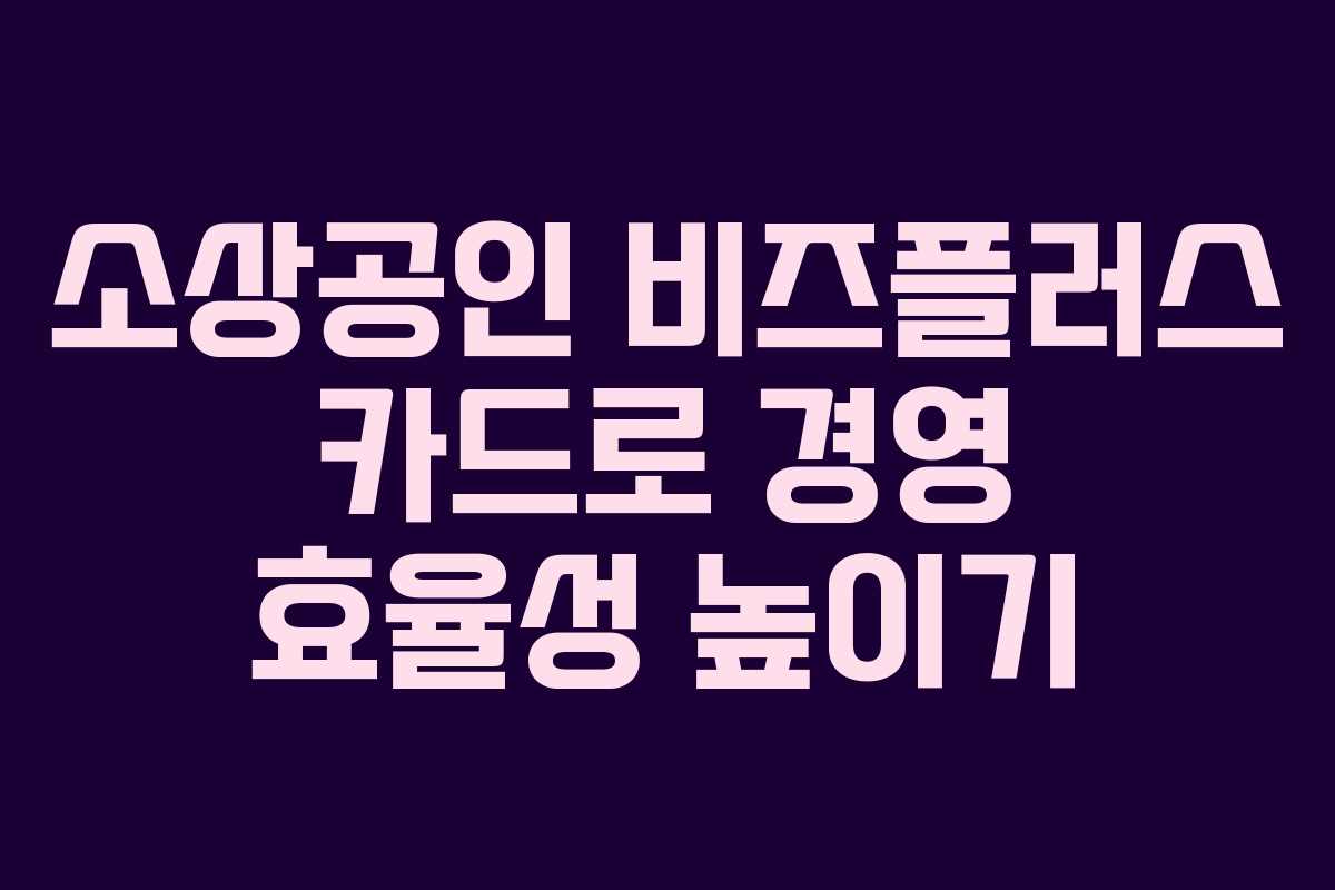 소상공인 비즈플러스 카드로 경영 효율성 높이기