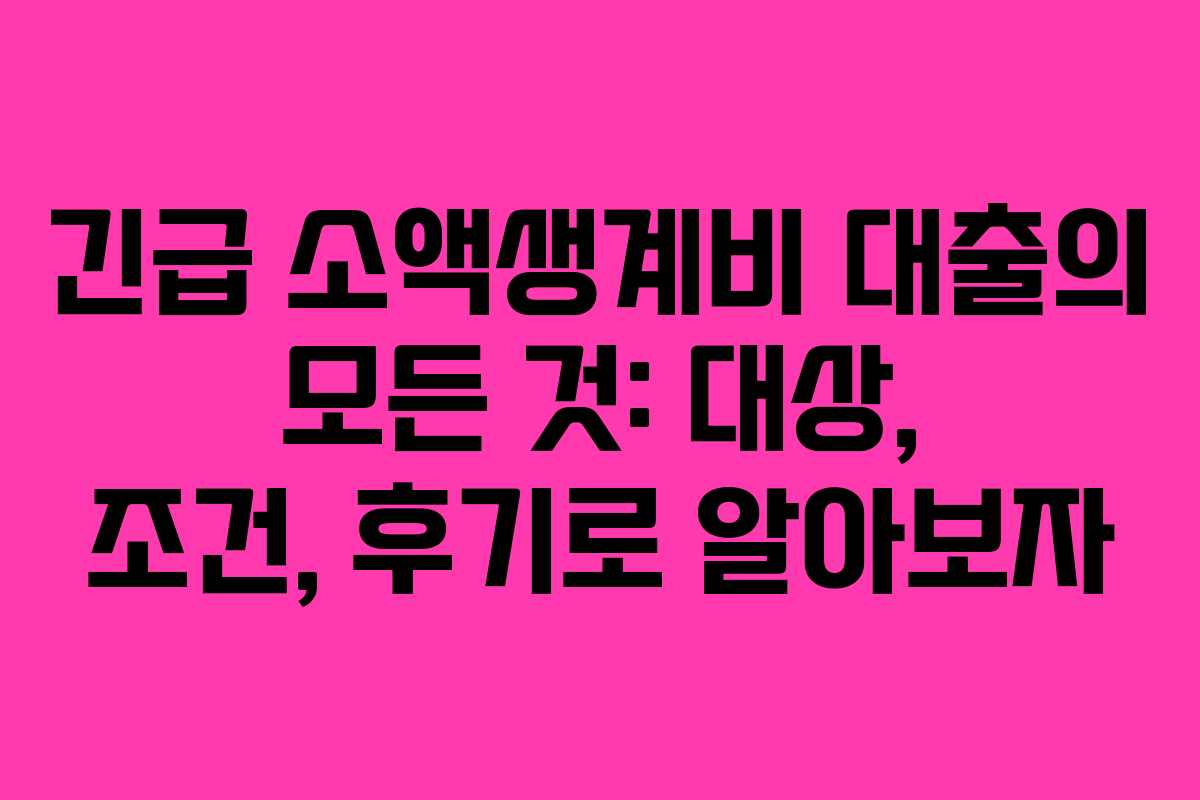 긴급 소액생계비 대출의 모든 것: 대상, 조건, 후기로 알아보자