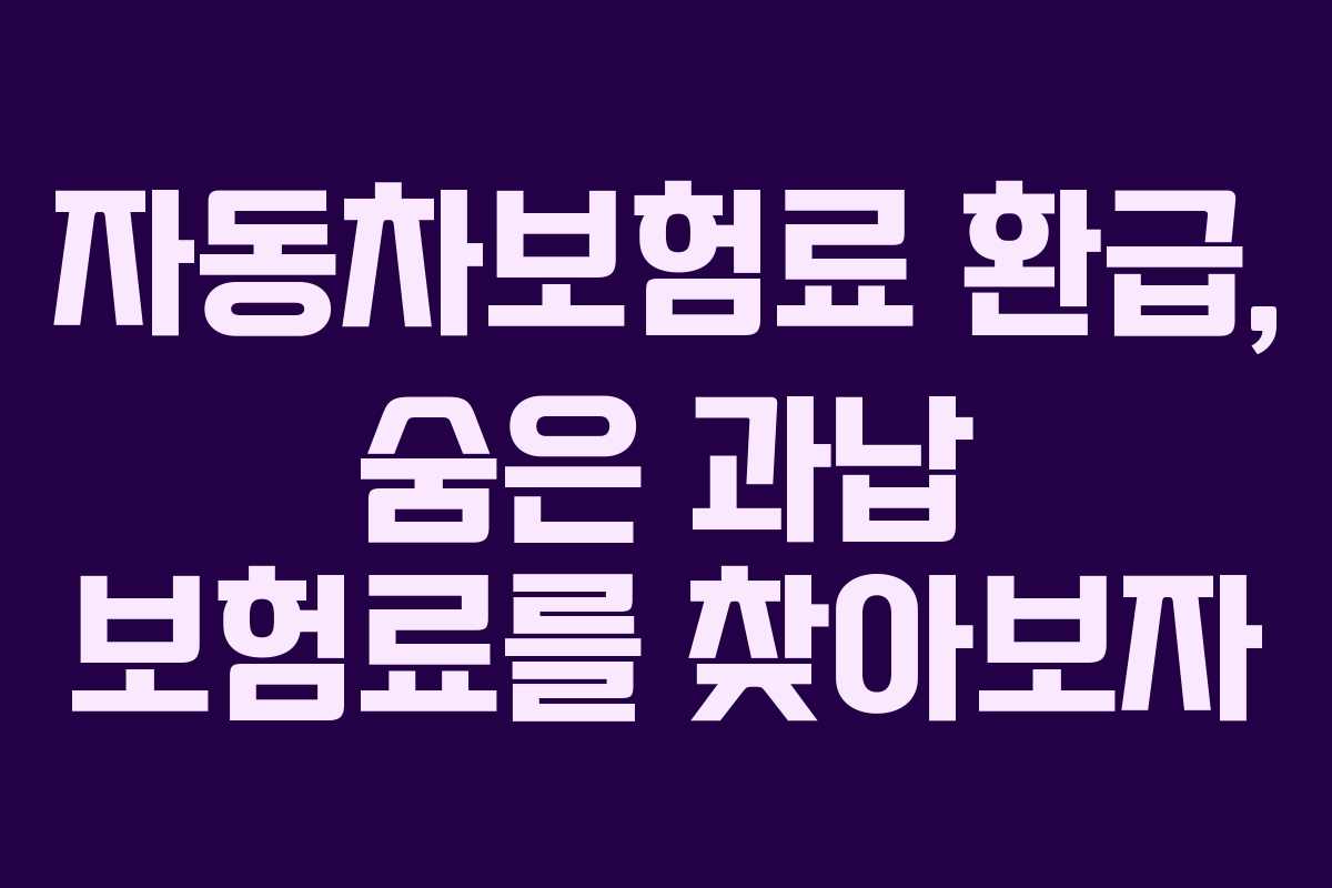 자동차보험료 환급, 숨은 과납 보험료를 찾아보자