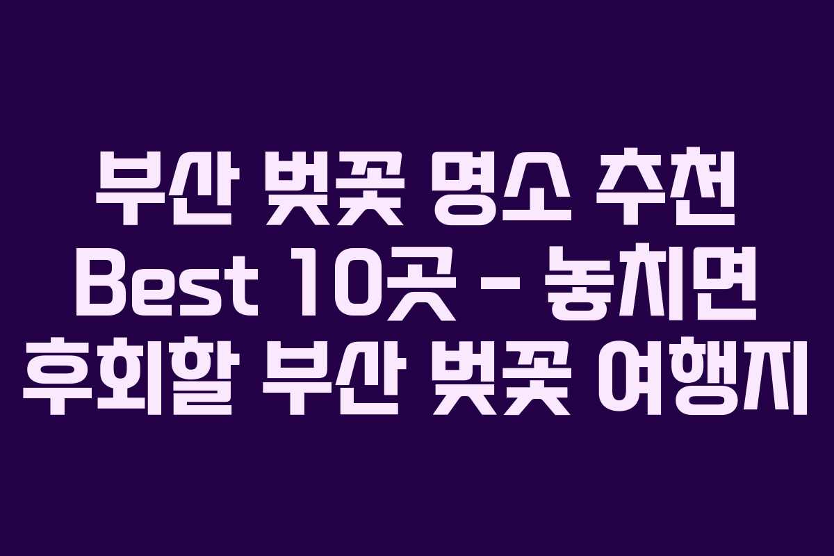 부산 벚꽃 명소 추천 Best 10곳 – 놓치면 후회할 부산 벚꽃 여행지