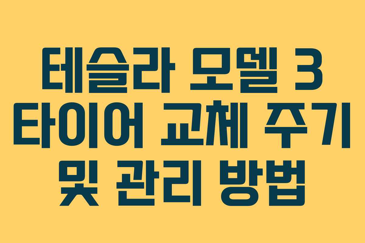 테슬라 모델 3 타이어 교체 주기 및 관리 방법