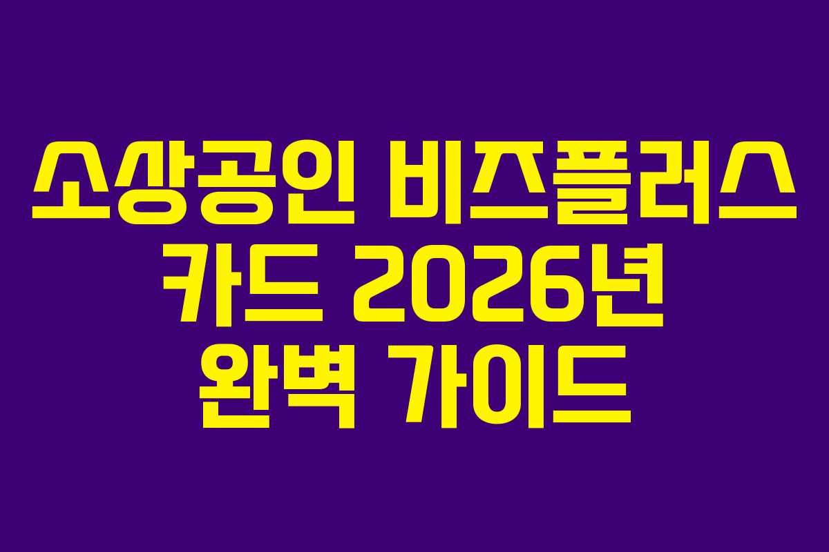 소상공인 비즈플러스 카드 2026년 완벽 가이드