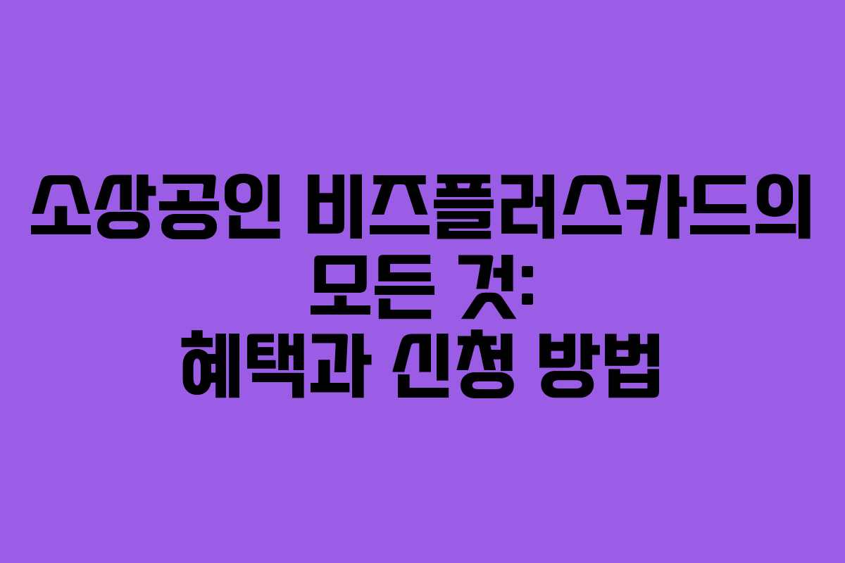 소상공인 비즈플러스카드의 모든 것: 혜택과 신청 방법