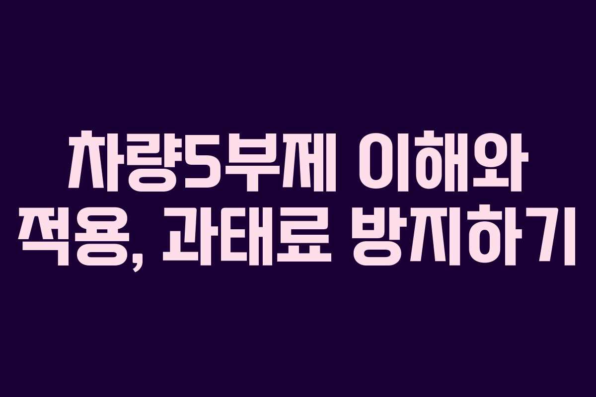 차량5부제 이해와 적용, 과태료 방지하기