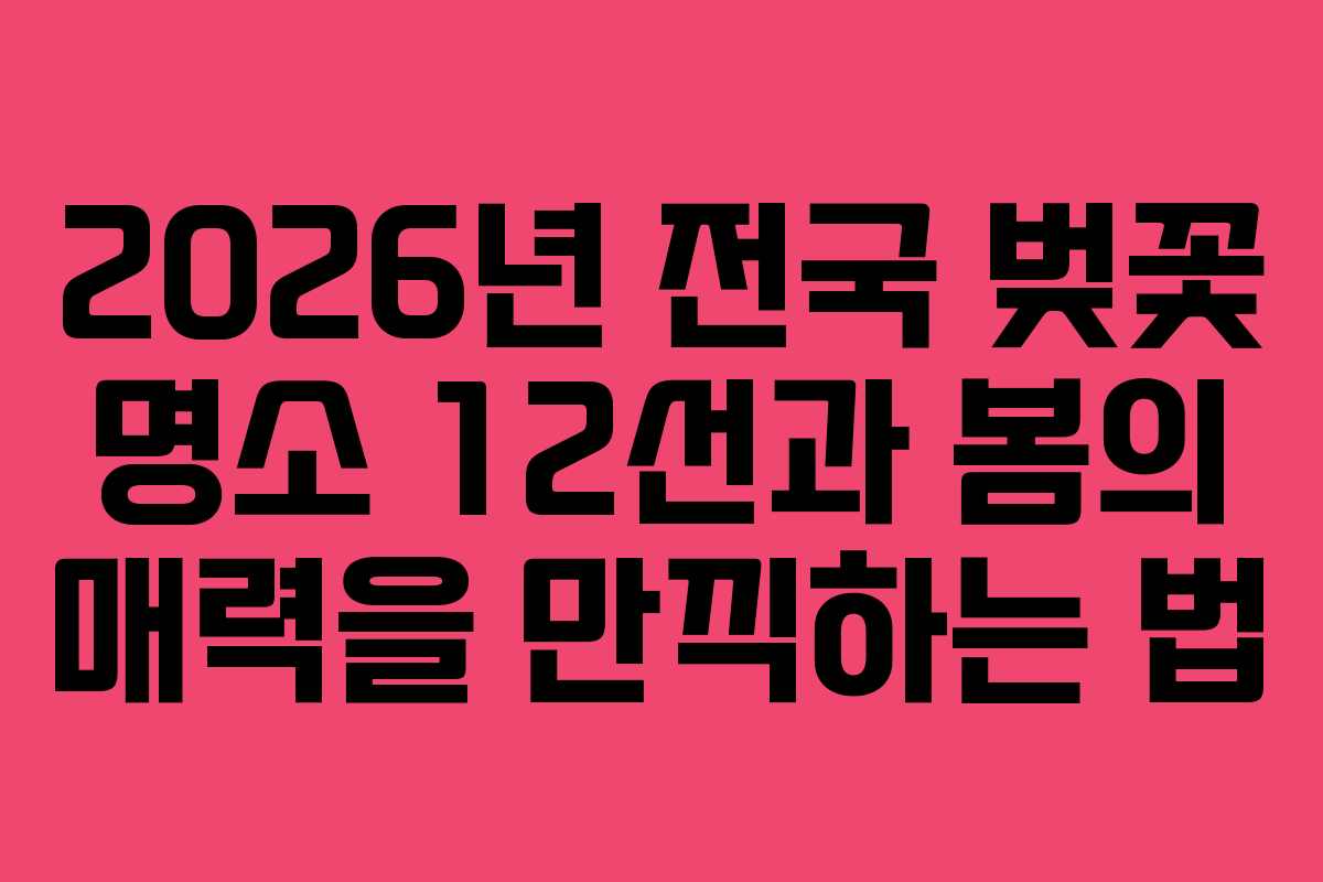 2026년 전국 벚꽃 명소 12선과 봄의 매력을 만끽하는 법