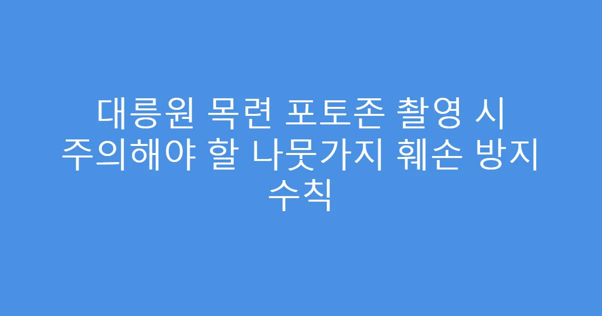 대릉원 목련 포토존 촬영 시 주의해야 할 나뭇가지 훼손 방지 수칙