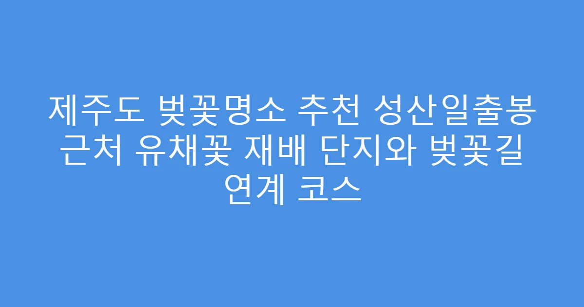제주도 벚꽃명소 추천 성산일출봉 근처 유채꽃 재배 단지와 벚꽃길 연계 코스