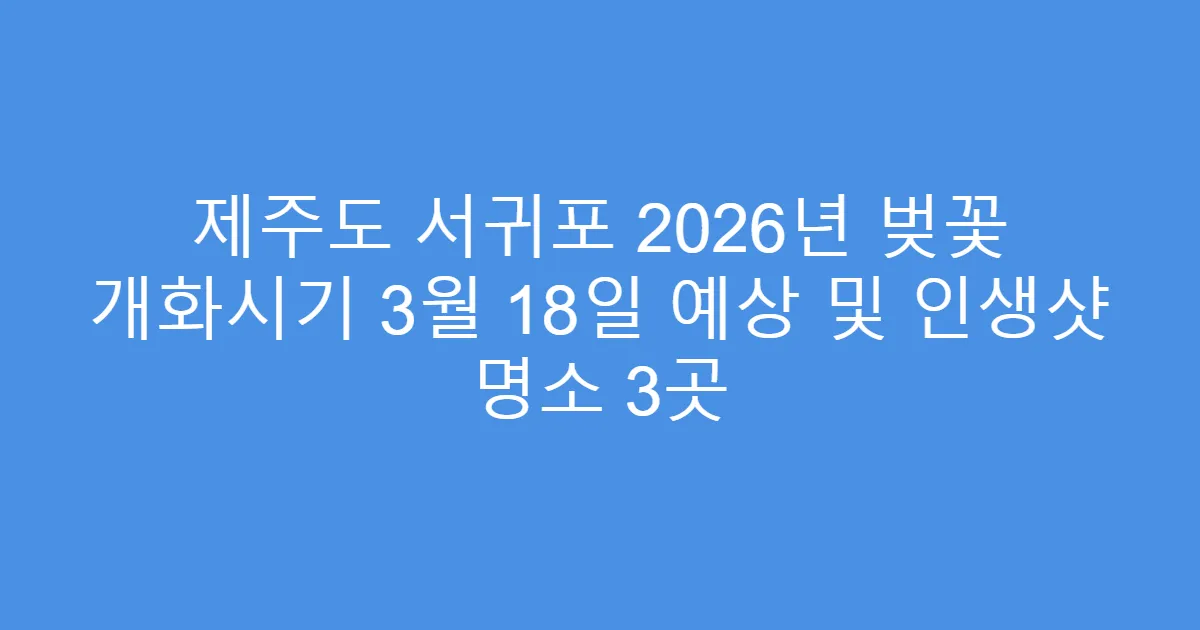 제주도 서귀포 2026년 벚꽃 개화시기 3월 18일 예상 및 인생샷 명소 3곳