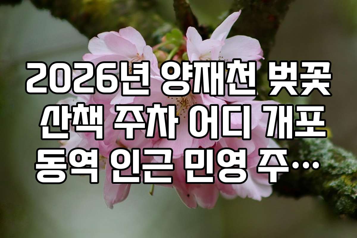 2026년 양재천 벚꽃 산책 주차 어디 개포동역 인근 민영 주차장