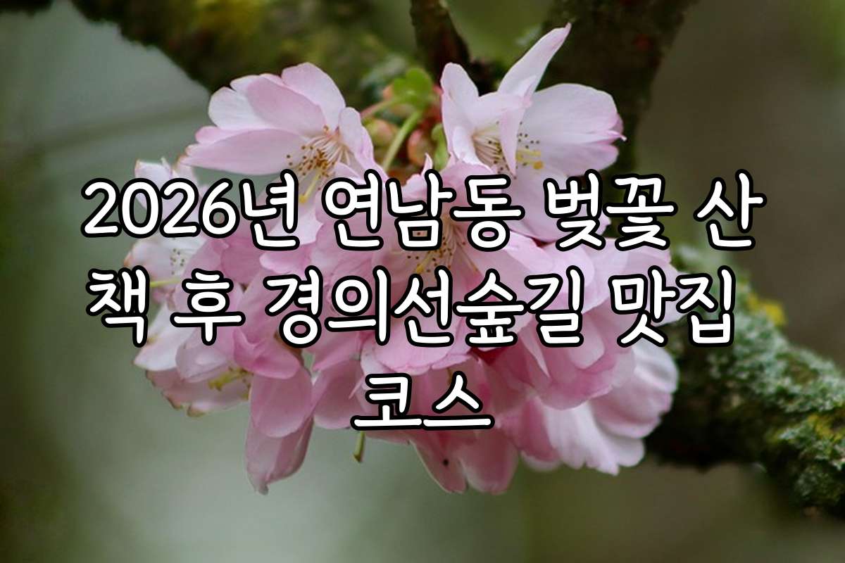 2026년 연남동 벚꽃 산책 후 경의선숲길 맛집 코스