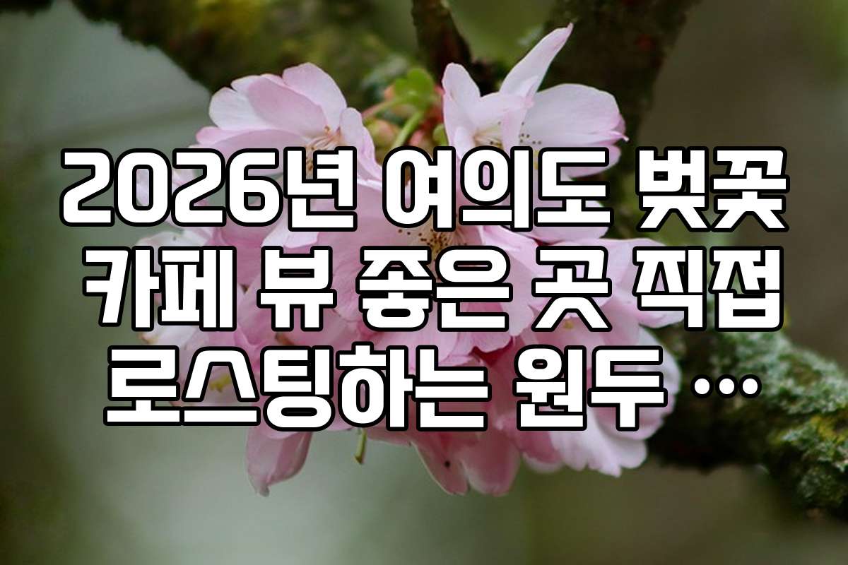 2026년 여의도 벚꽃 카페 뷰 좋은 곳 직접 로스팅하는 원두 맛집 리스트