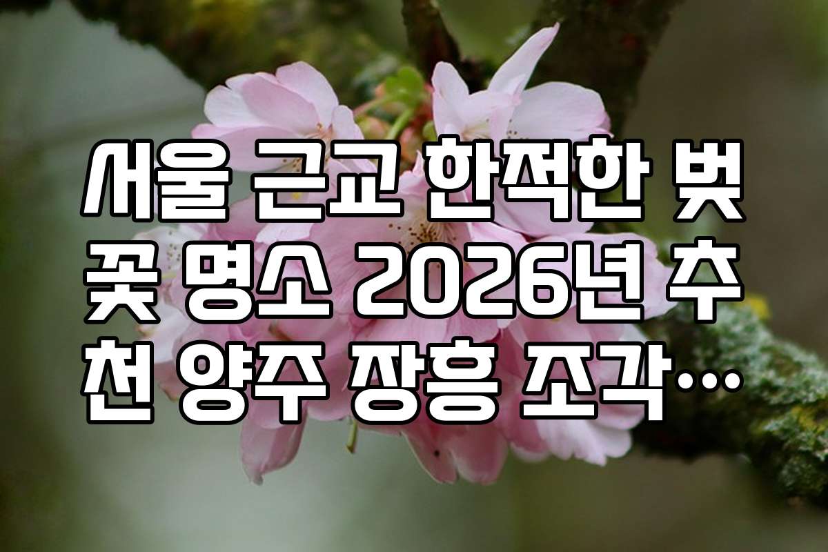 서울 근교 한적한 벚꽃 명소 2026년 추천 양주 장흥 조각공원