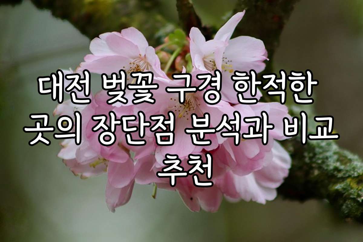 대전 벚꽃 구경 한적한 곳의 장단점 분석과 비교 추천