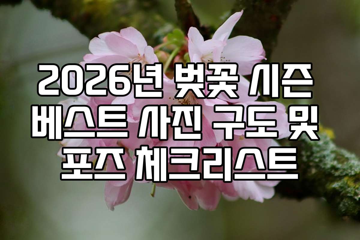 2026년 벚꽃 시즌 베스트 사진 구도 및 포즈 체크리스트