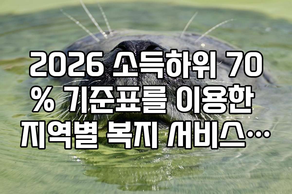 2026 소득하위 70% 기준표를 이용한 지역별 복지 서비스 비교 분석