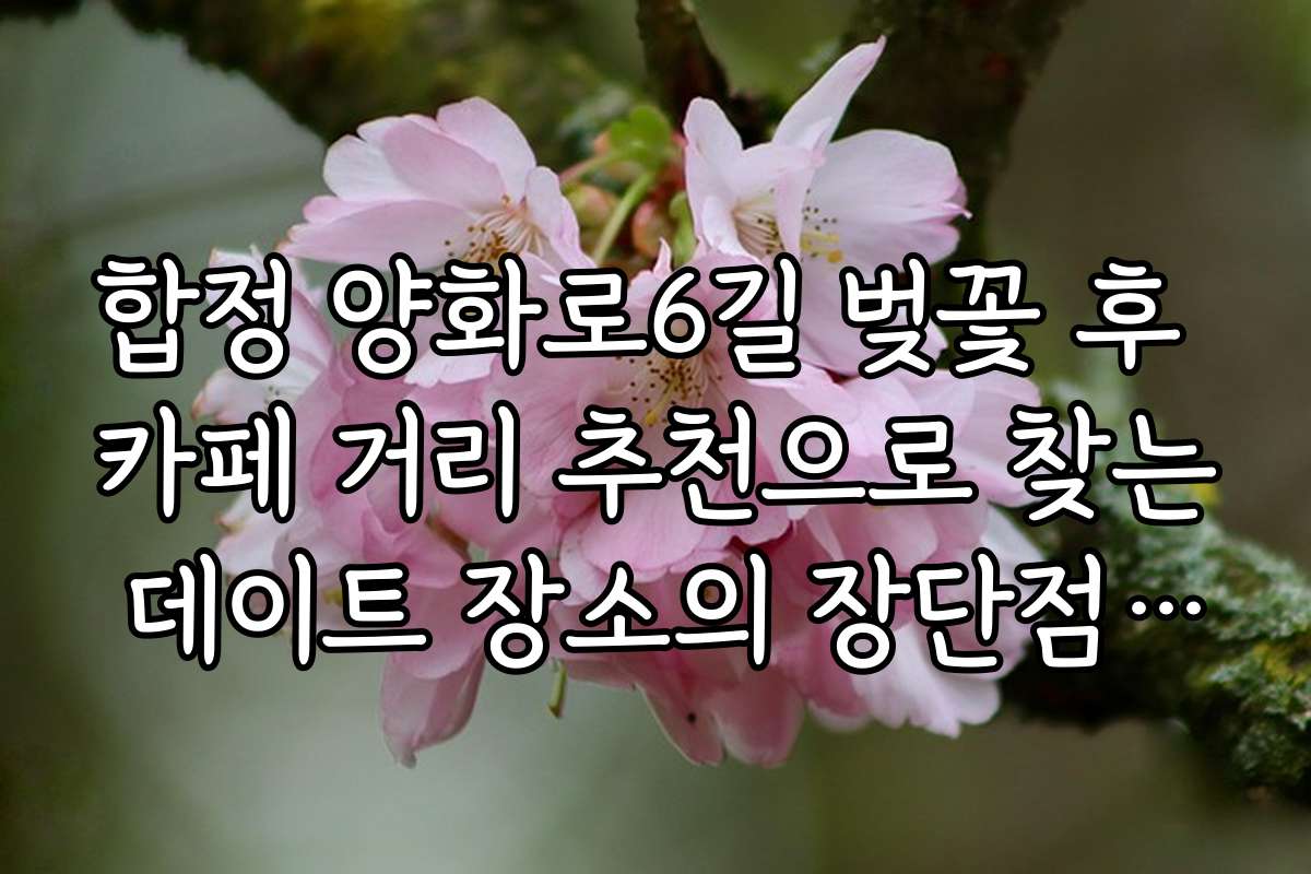합정 양화로6길 벚꽃 후 카페 거리 추천으로 찾는 데이트 장소의 장단점 비교 분석