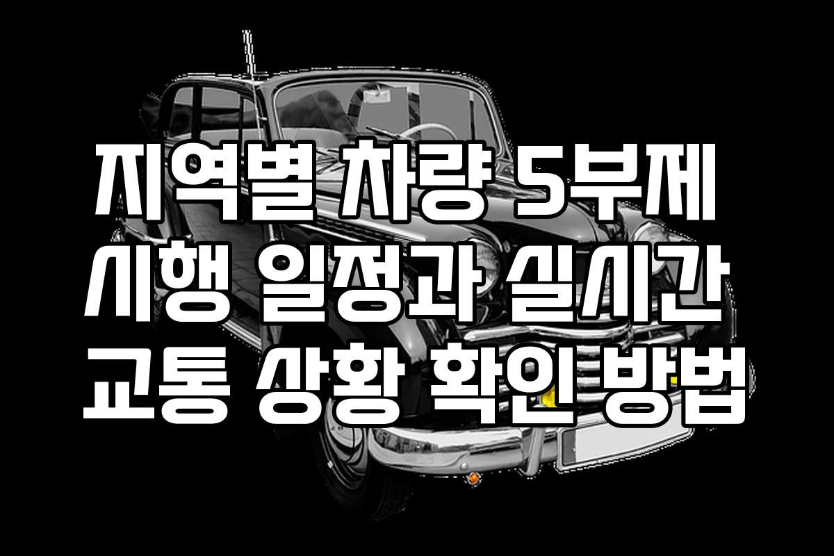 지역별 차량 5부제 시행 일정과 실시간 교통 상황 확인 방법