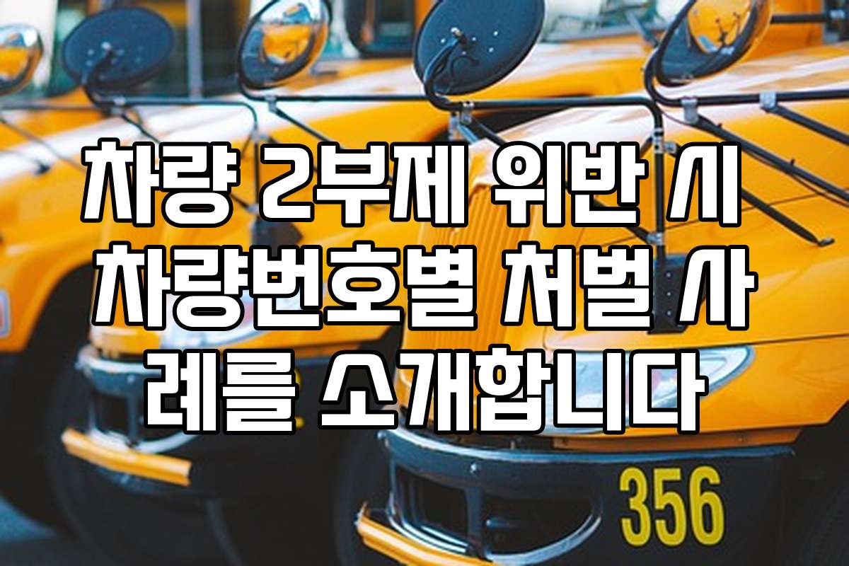 차량 2부제 위반 시 차량번호별 처벌 사례를 소개합니다